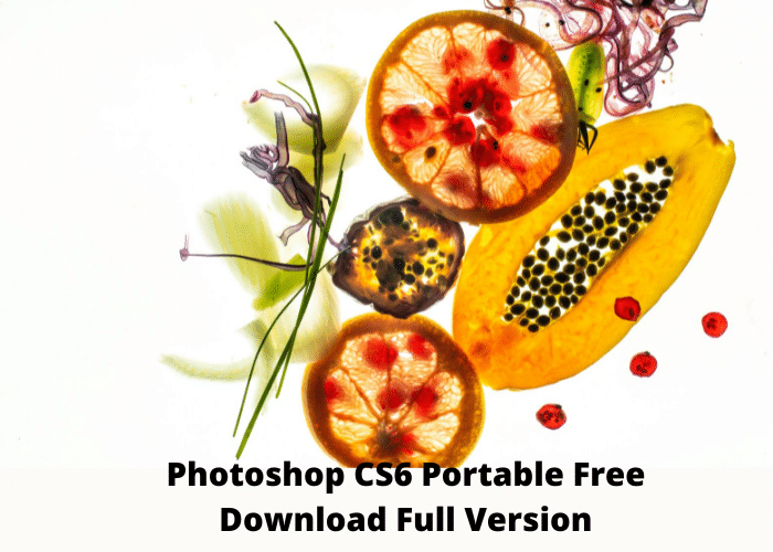 Photoshop CS6 Portable Free Download Full Version