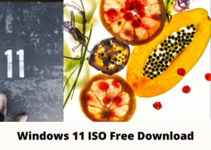 Windows 11 ISO Free Download 32/64-bit Full Version OS